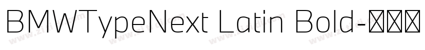 BMWTypeNext Latin Bold字体转换